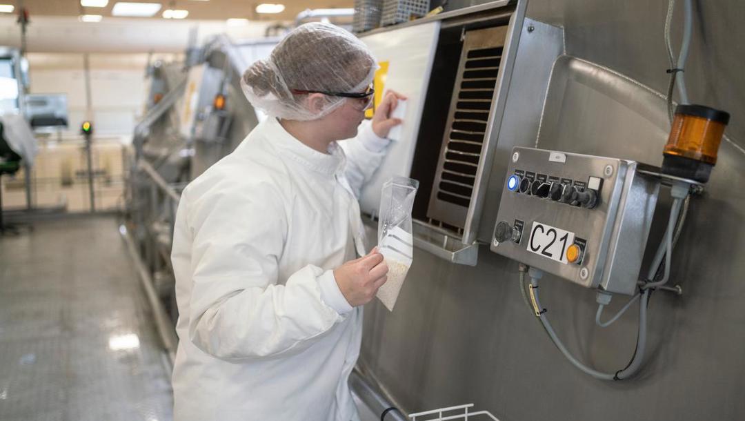 Når mælken er varmebehandlet, pumpes den ind i ostetankene, hvor mejerist-elev Cecilie Pedersen arbejder. Hun tilsætter kultur og calcium til ostemælken.