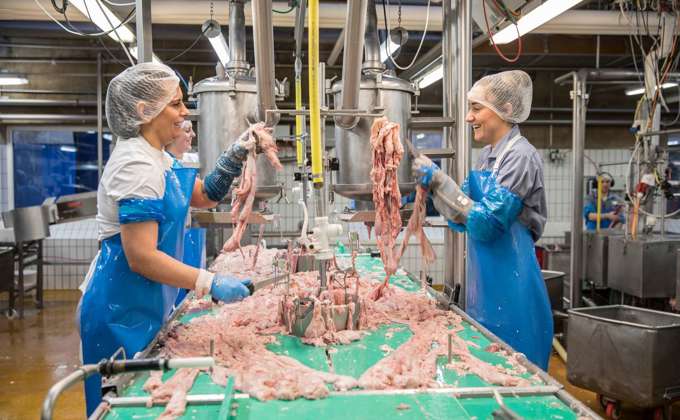 /media/czfnn0ie/genre-tarmrenser-blans.jpg?width=680&height=420&v=1daf789db89c3b0